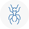 Ant Removals In Newent