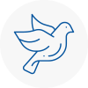Bird Prevention Newent