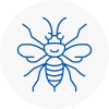 Newent Hornet Nest Removals