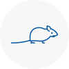 Mice Exterminators In Newent