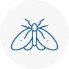 Moth Control Specialists In Newent