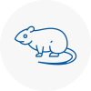 Rat Control Newent