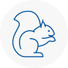 Newent Rodent Removals
