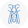 Newent Wasp Nest Removal